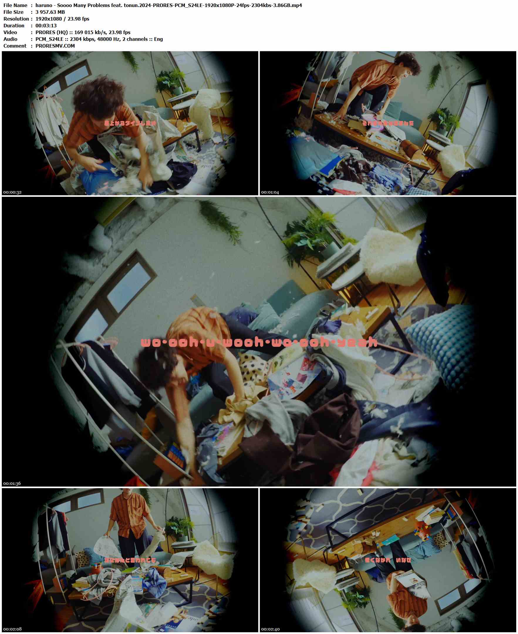 haruno - Soooo Many Problems feat. tonun.2024-PRORES-PCM_S24LE-1920x1080P-24fps-2304kbs-3.86GB官方MV_高清MV